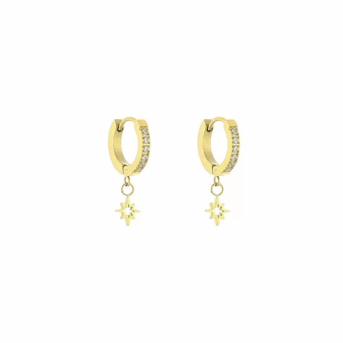 ‘Shiny’ oorbellen goud