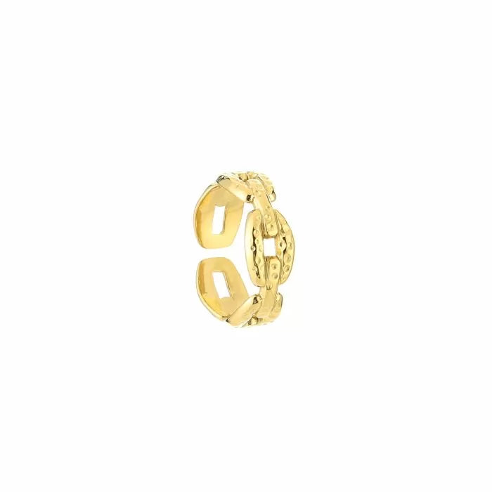 ‘Chain’ ring goud
